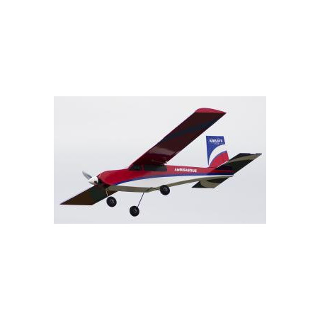AirLife Ambisagrus 1,40m KIT